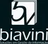 Biavini